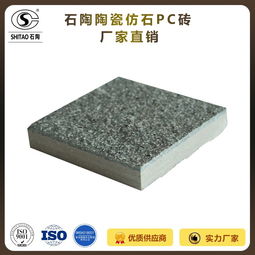 專業制造，堅固耐用 18mm陶瓷仿花崗巖路面磚引領戶外鋪裝新潮流